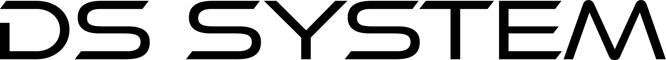 DS System